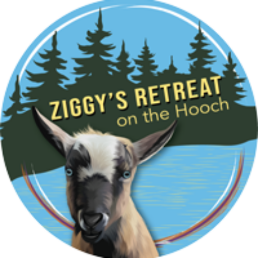 Ziggy's Retreat on the Hooch